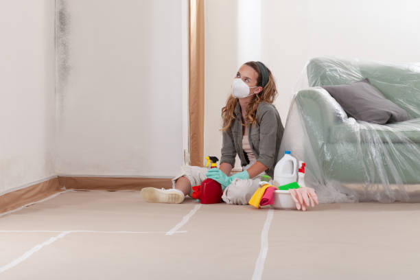 Reliable Mold Testing contractor in Centreville, MI by WQB Mold Removal